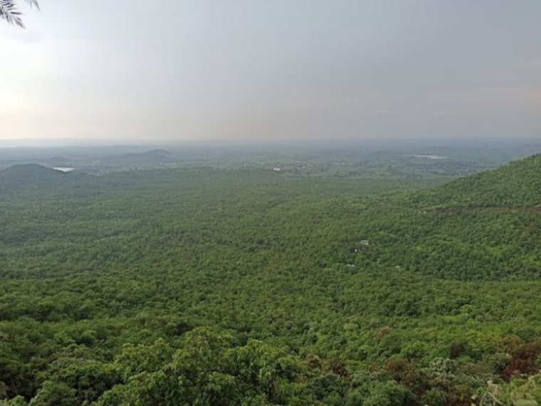 Janapav Kuti-1
